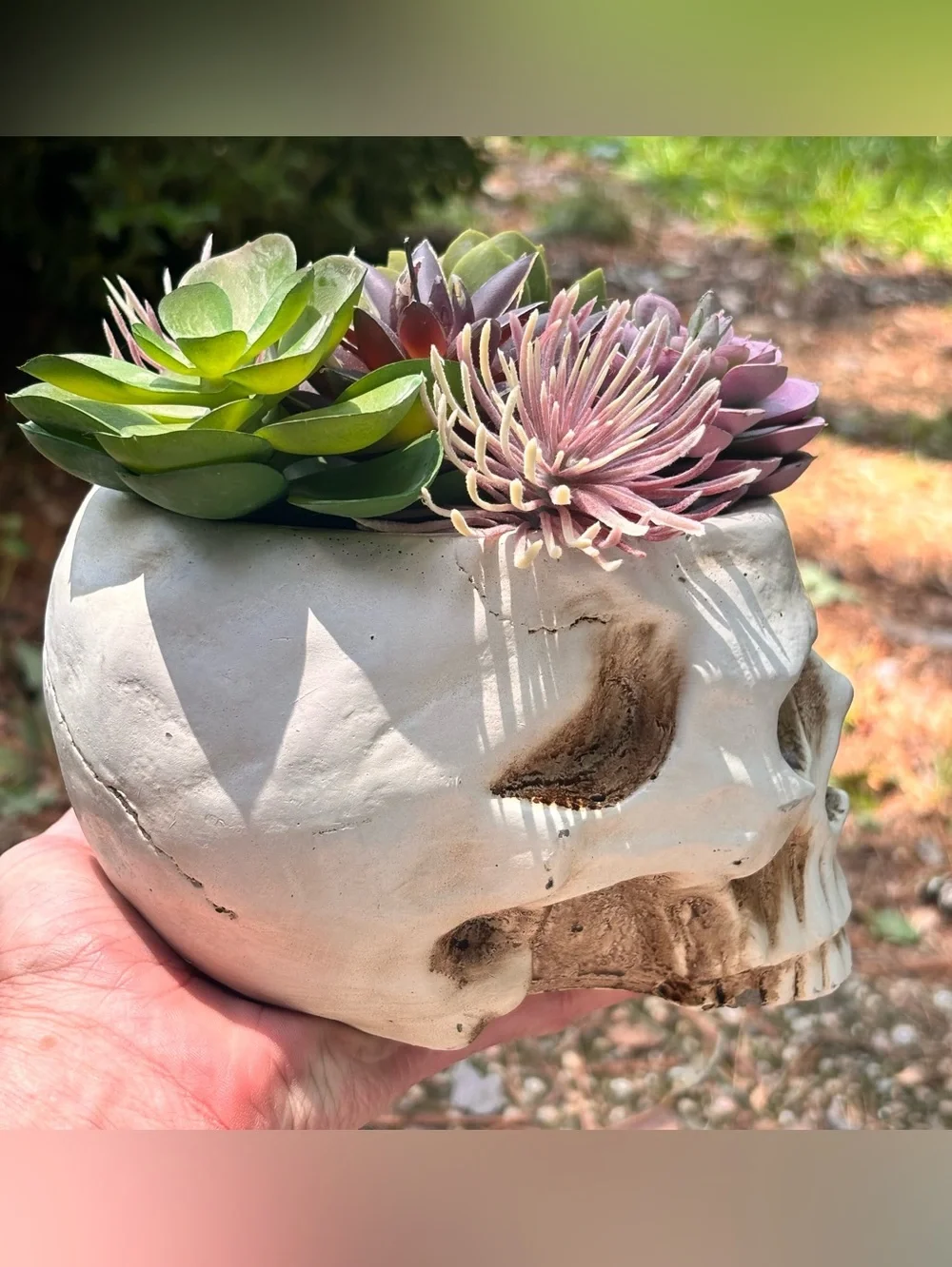 Gothic Skull Planter w/ Faux Succulents